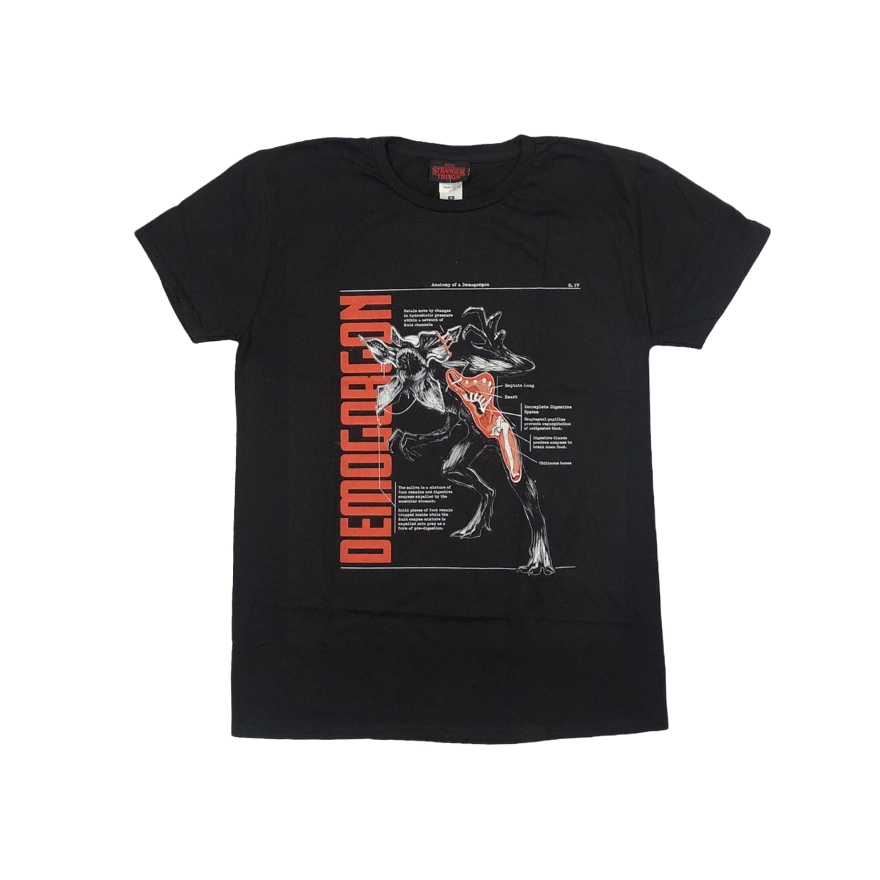 STN-BLA-SS-02_adobe_express