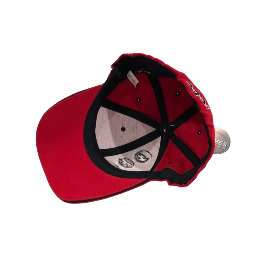 LIMP BIZKIT Base Ball Cap: Head Shot BioDomes Cap – AREA-23