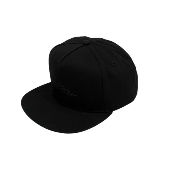 PPR-CAP-02-2