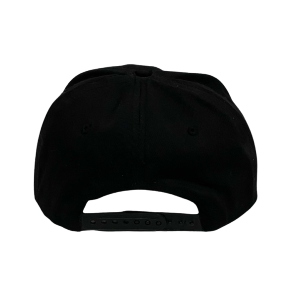 THSR-CAP-01-3