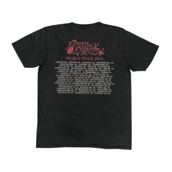 BFMV-BLA-SS-19-2