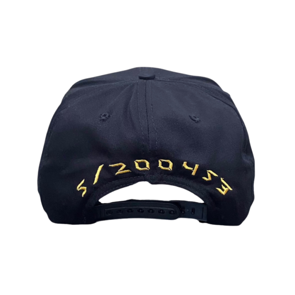 0110-CAP-01-3 0110-CAP-01-3