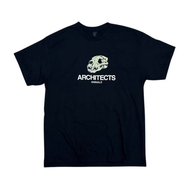 ACT-BLA-SS-02-1