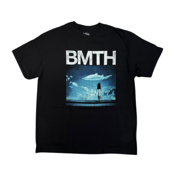 BMTH-BLA-SS-200-1 BMTH-BLA-SS-200-1