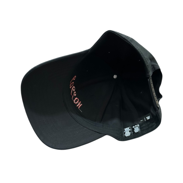 HO99-CAP-01-3