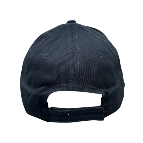 WSS-CAP-01-3