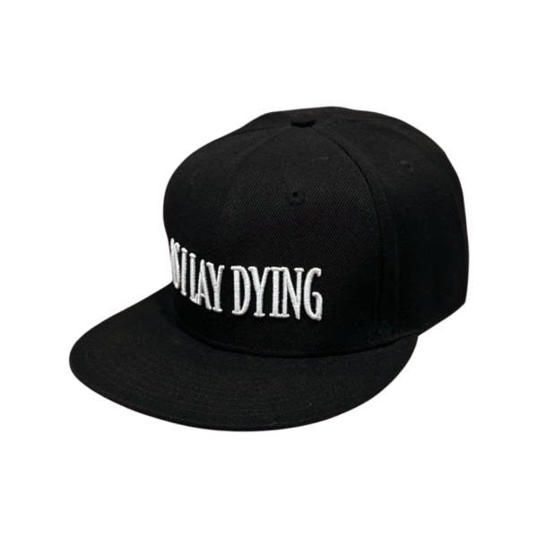 AILD-CAP-01-2
