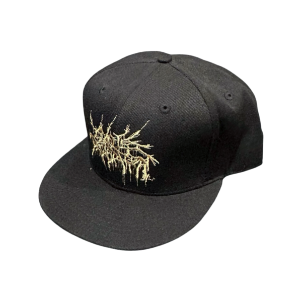 CTDT-CAP-01-2