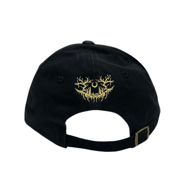 LS-CAP-02-2