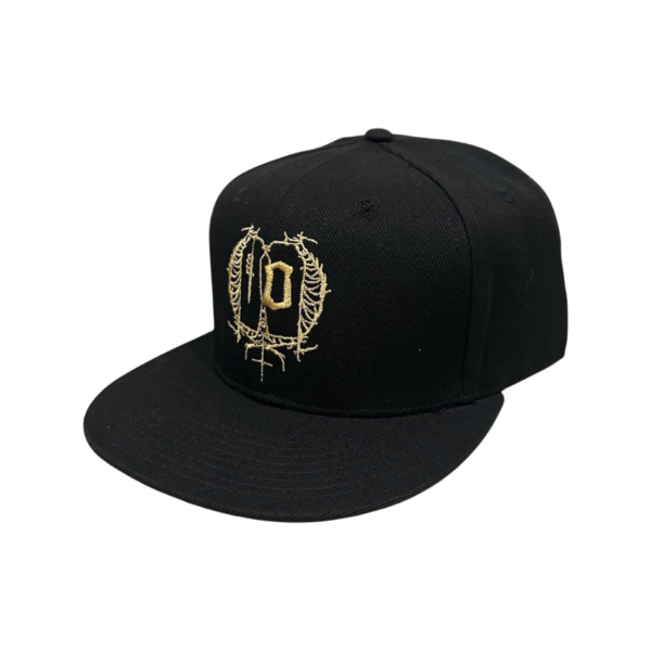 LTSL-CAP-01-2 LTSL-CAP-01-2