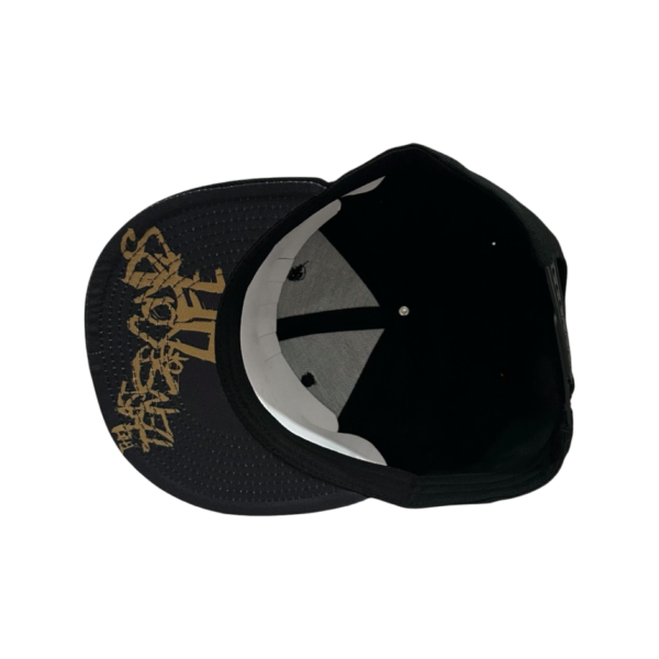 LTSL-CAP-01-3 LTSL-CAP-01-3