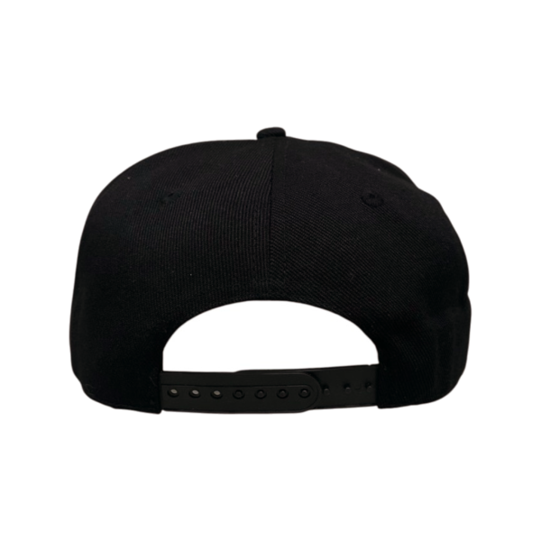 LTSL-CAP-01-4 LTSL-CAP-01-4