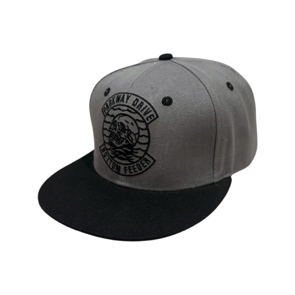 PWD-CAP-01-2