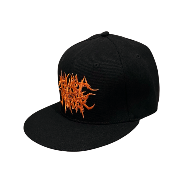 TAIM-CAP-01-2