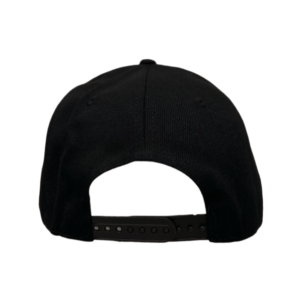 TAIM-CAP-01-4