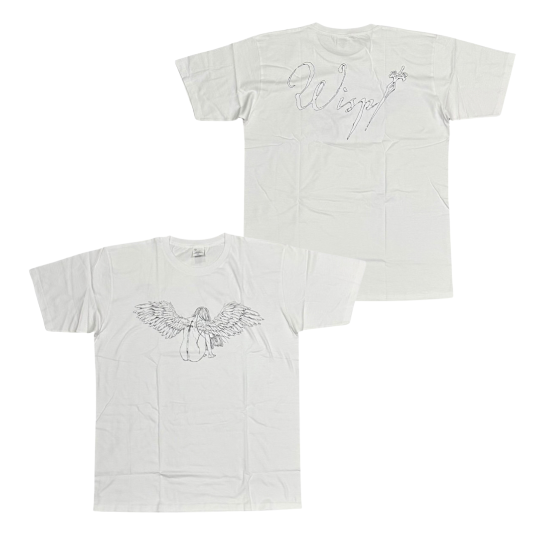 WISP-WHI-SS-04-0