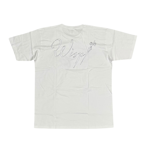 WISP-WHI-SS-04-2