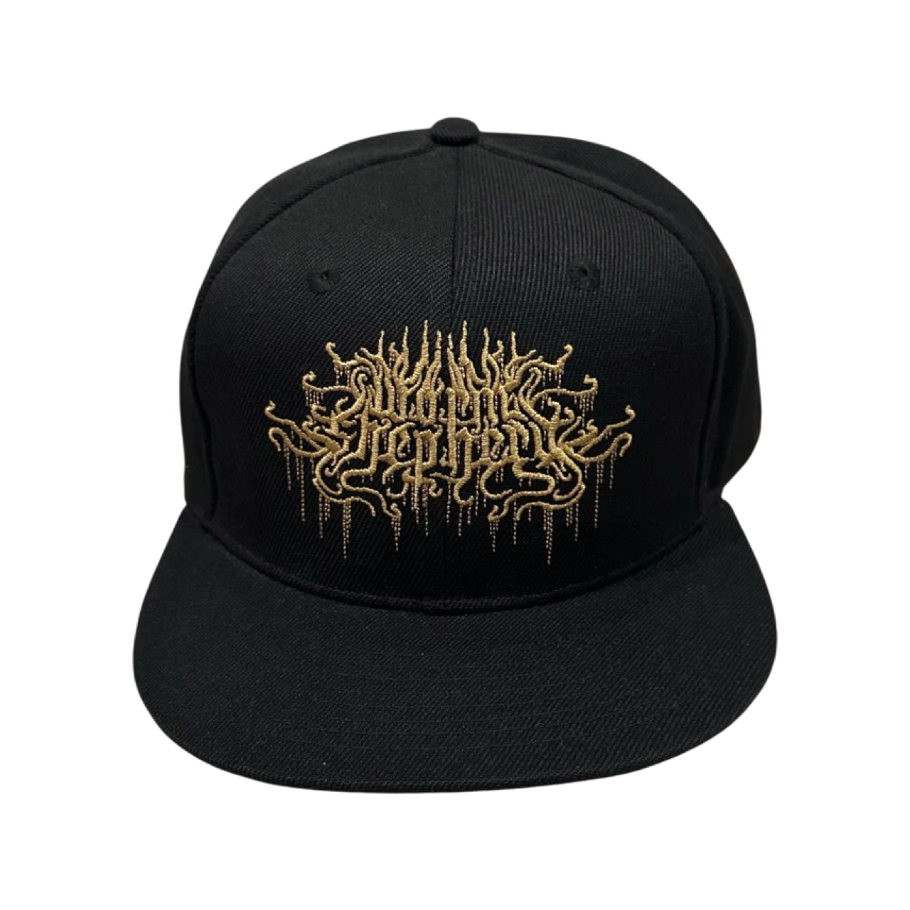 WORM SHEPHERD Snapback Cap: Ritual Hymns